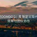 美国ZOOMDOG：重新定义现代办公效率与团队协作