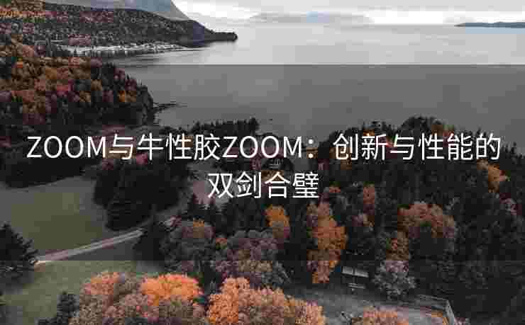 ZOOM与牛性胶ZOOM：创新与性能的双剑合璧