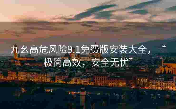 九幺高危风险9.1免费版安装大全，“极简高效，安全无忧”