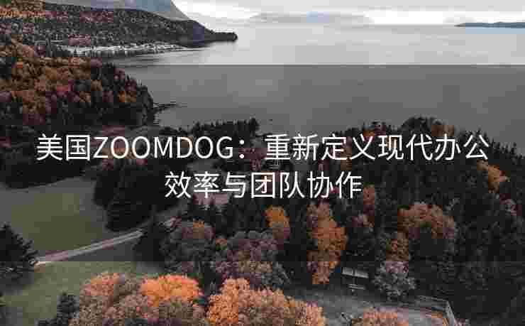 美国ZOOMDOG：重新定义现代办公效率与团队协作